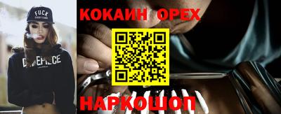 шишки Гусиноозёрск