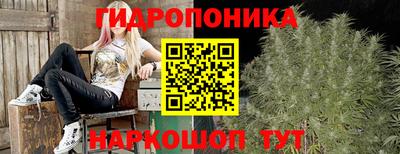 шишки Гусиноозёрск