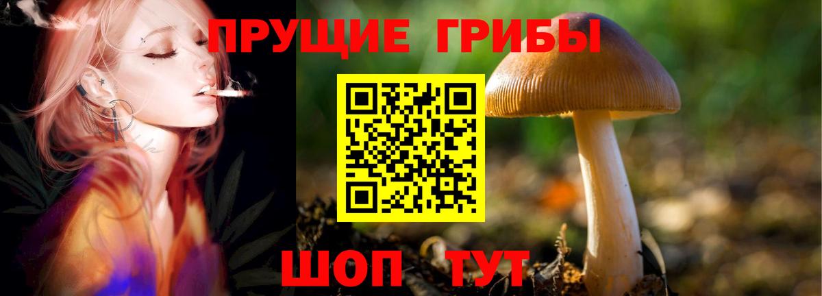 Галлюциногенные грибы Magic Shrooms  Галлюциногенные грибы прущие грибы  Ипатово  Вход с VPN 